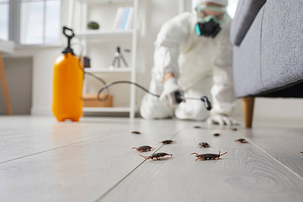 Commercial Kitchen Cockroach Control in Granite Quarry
